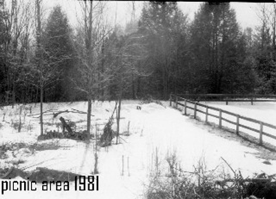 1981 picnic area